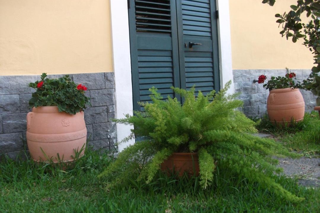 Photo of Others in Scillichenti