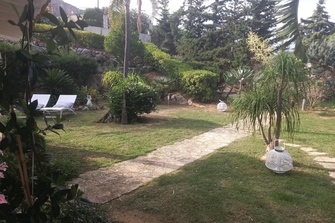 Photo of Others in Scopello