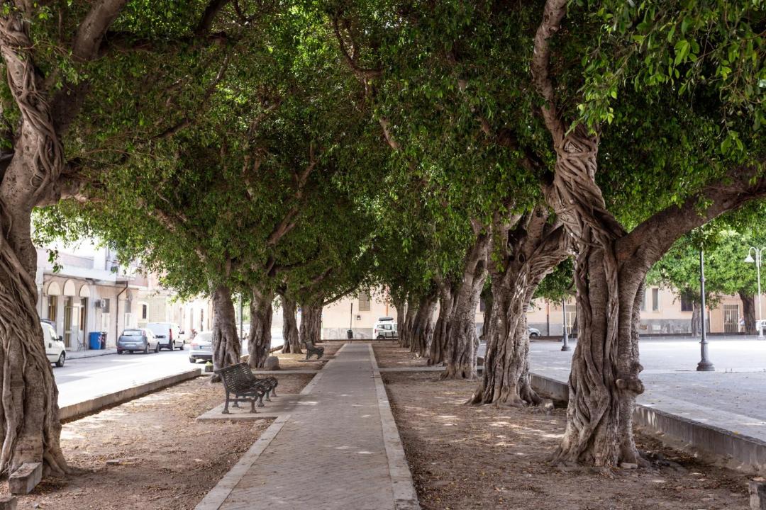 Photo of Others in Santa Lucia