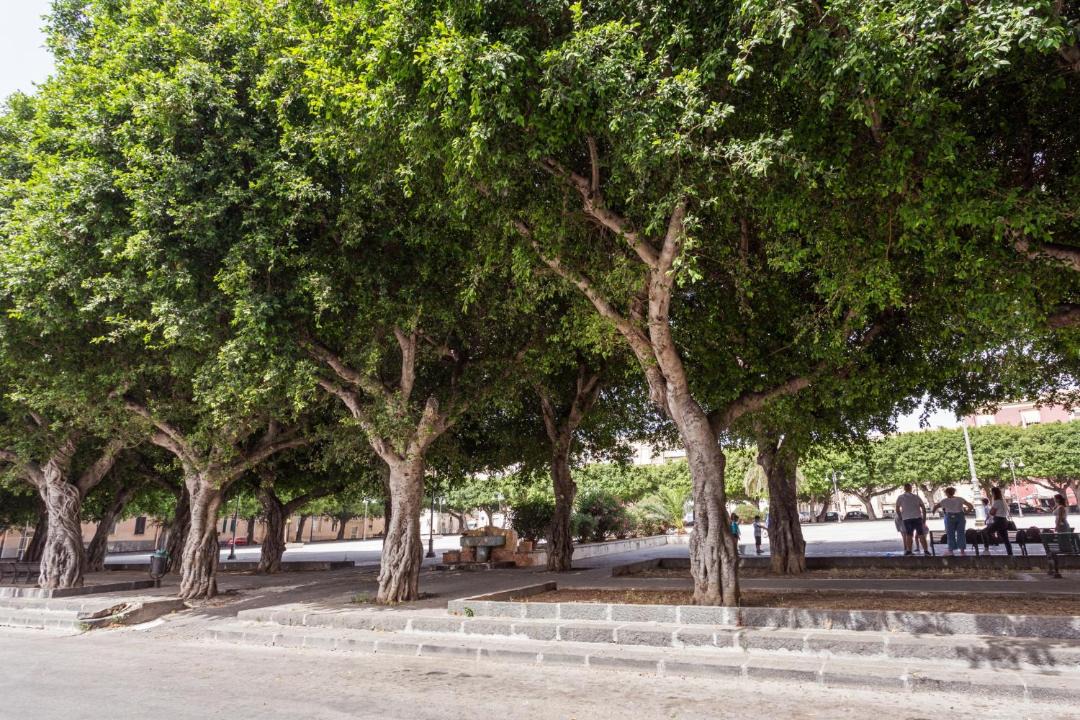 Photo of Outdoor in Santa Lucia