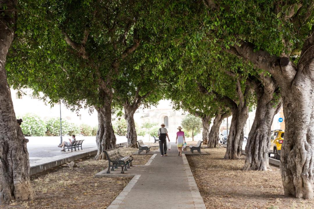 Photo of Others in Santa Lucia