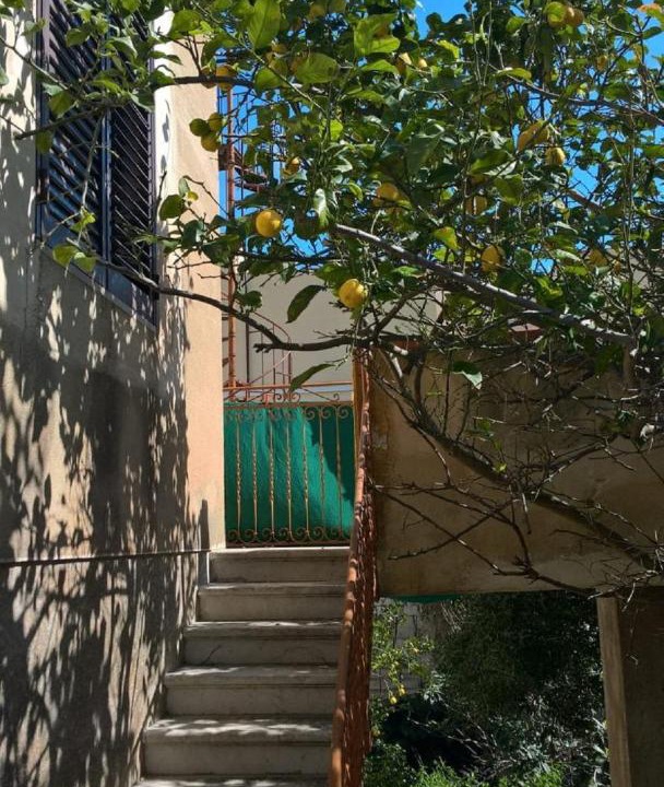 Photo of Others in Favignana