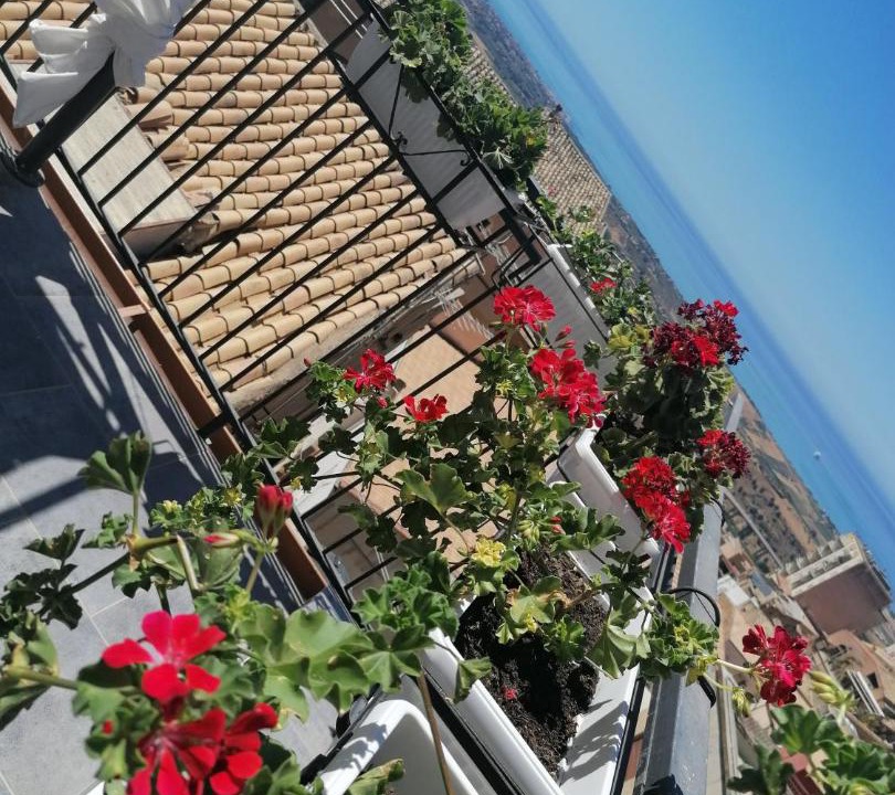 Photo of Others in Agrigento
