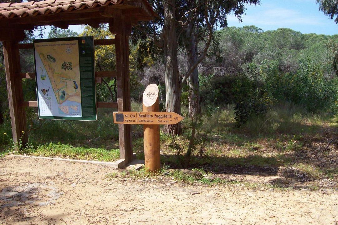Photo of Others in Caltabellotta