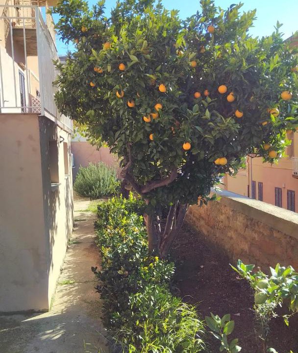 Photo of Others in Agrigento