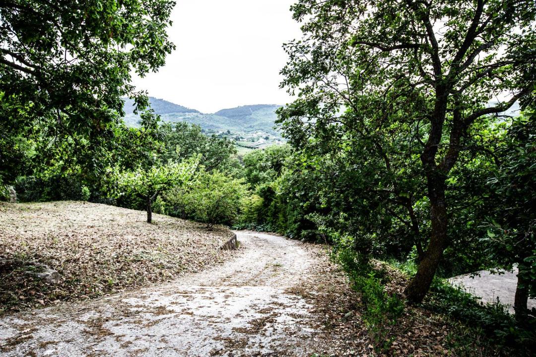 Photo of Others in Cammarata