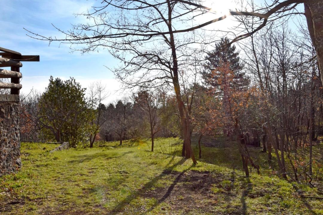 Photo of Outdoor in Linguaglossa