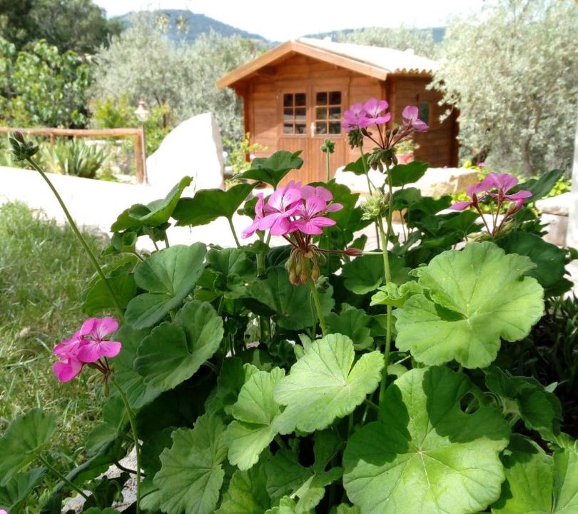 Photo of Others in Cammarata