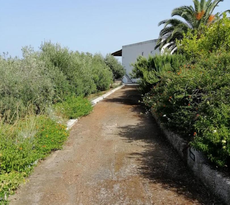 Photo of Others in Lipari