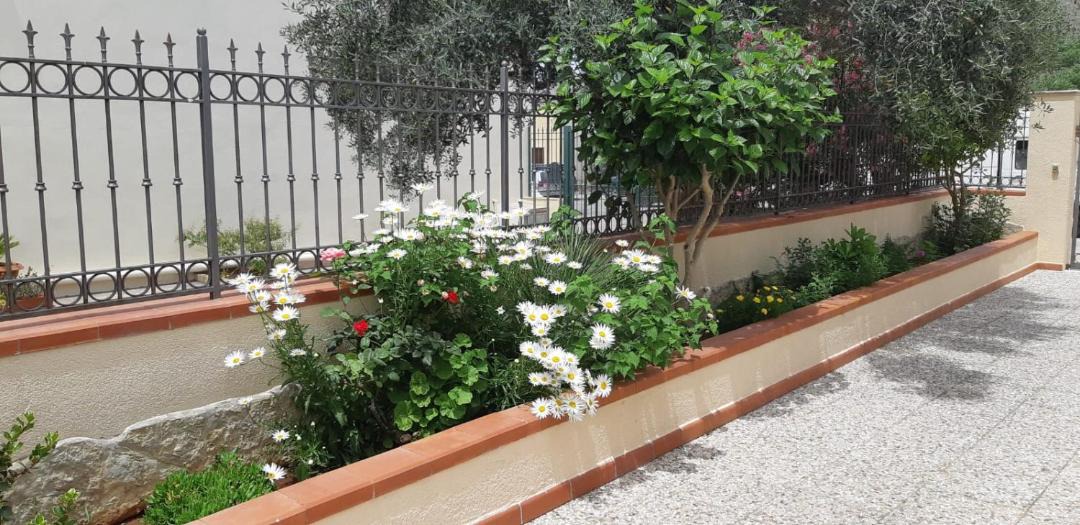 Photo of Others in Castelluzzo
