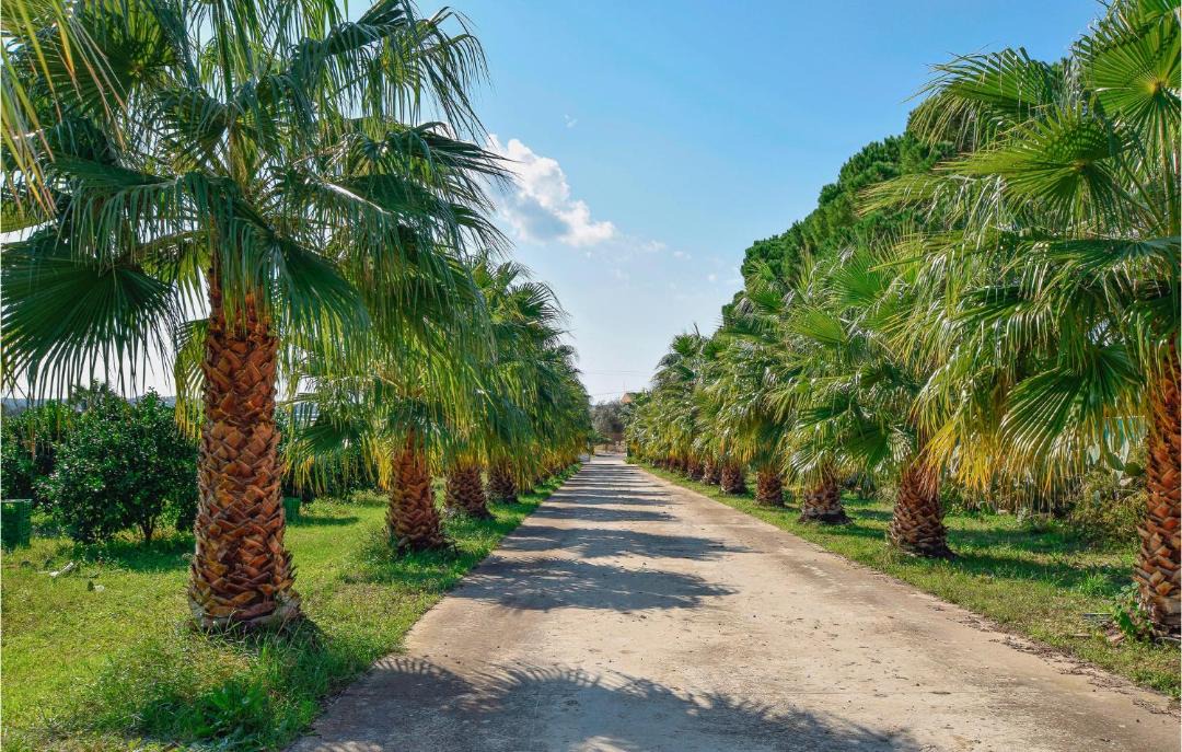 Photo of Outdoor in Ispica