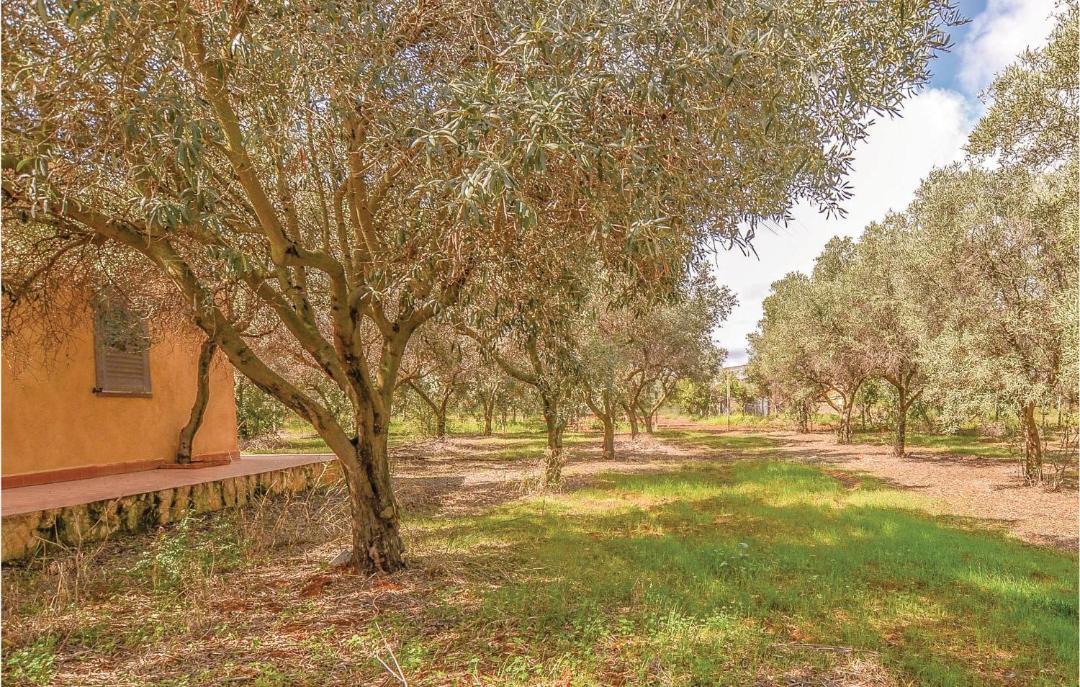 Photo of Outdoor in Campobello di Mazara