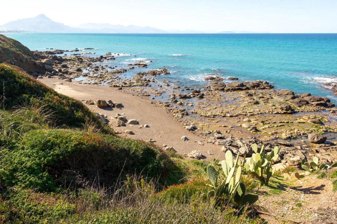 Photo of Others in Capo