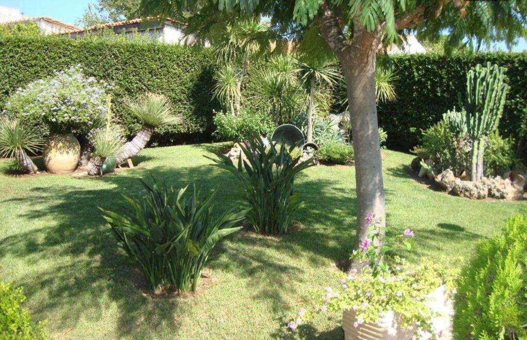 Photo of Outdoor in San Lorenzo