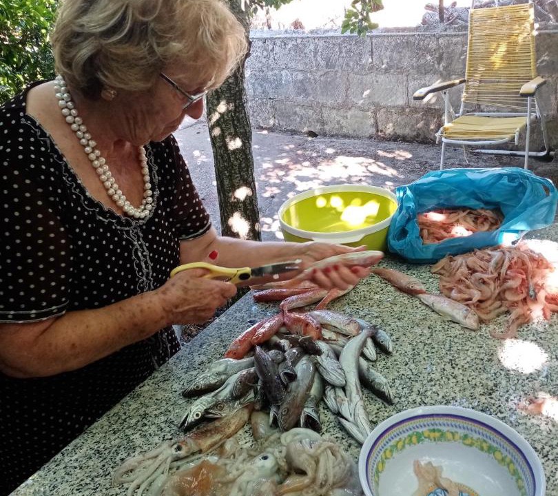 Photo of Others in Ragusa