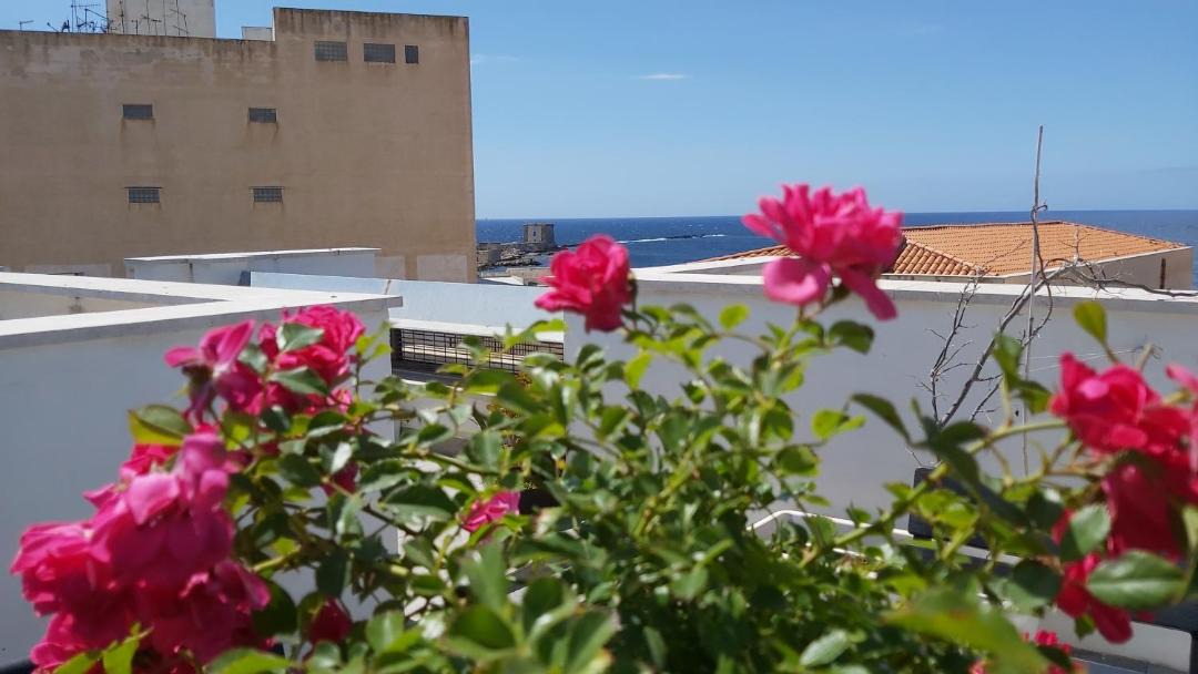 Photo of Others in Trapani City Centre