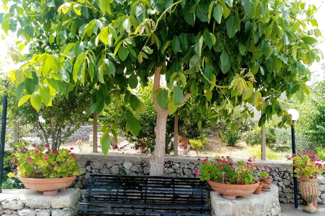 Photo of Others in Testa dell'Acqua