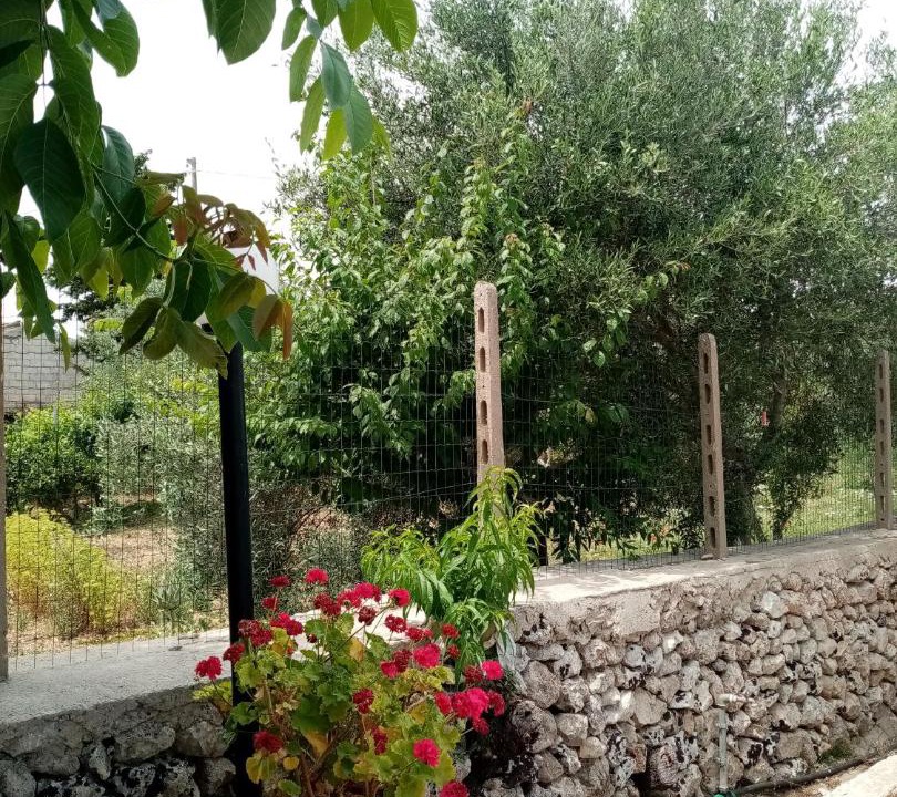 Photo of Others in Testa dell'Acqua
