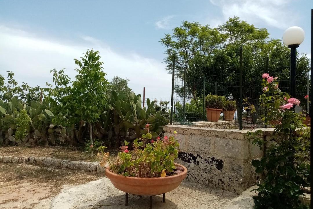 Photo of Others in Testa dell'Acqua