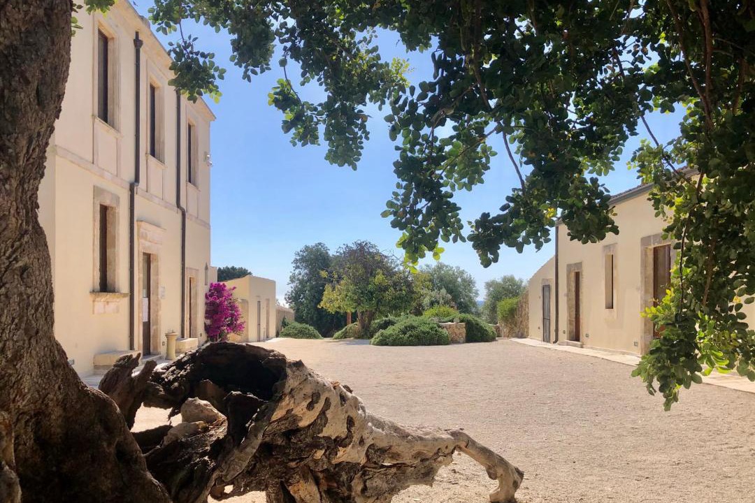 Photo of Others in Noto