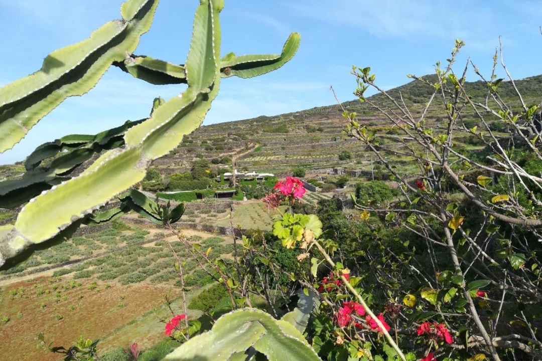 Photo of Others in Pantelleria