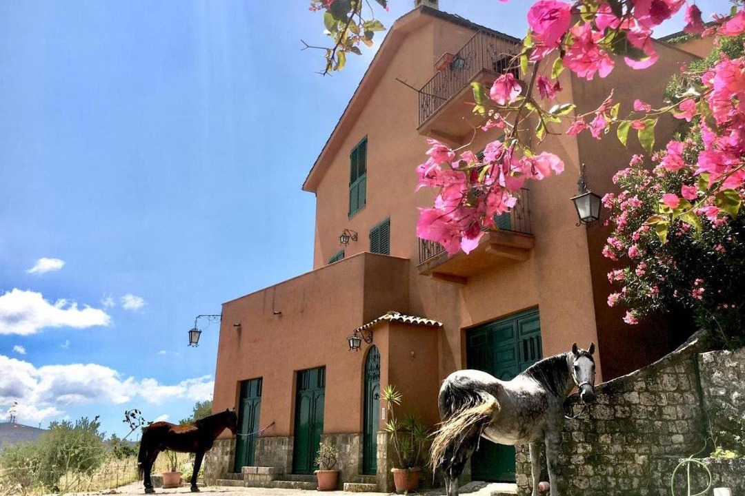 Photo of Buildings in Favara