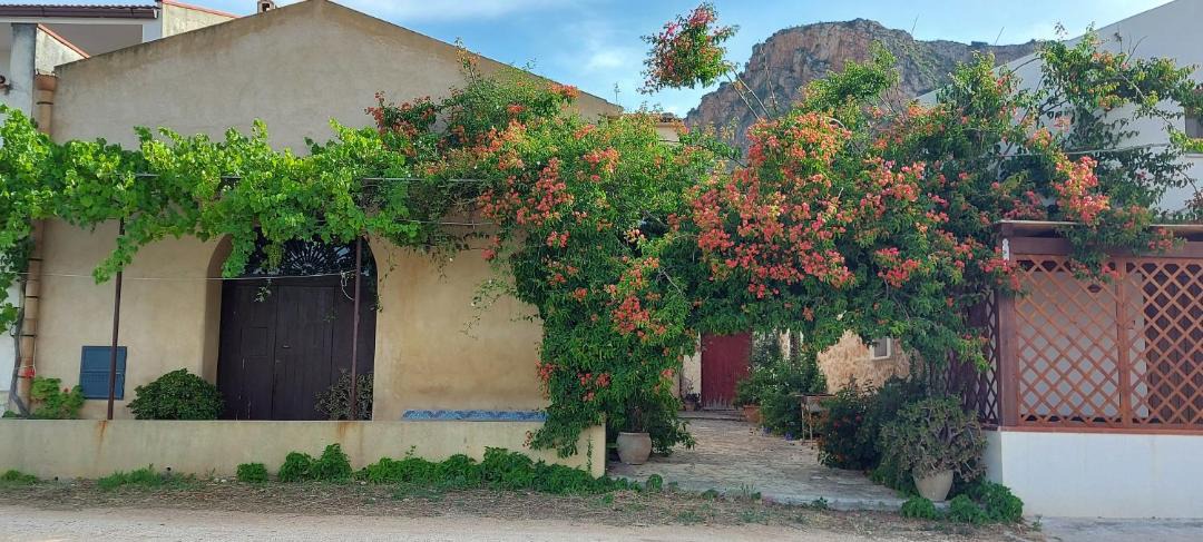 Photo of Buildings in Scopello