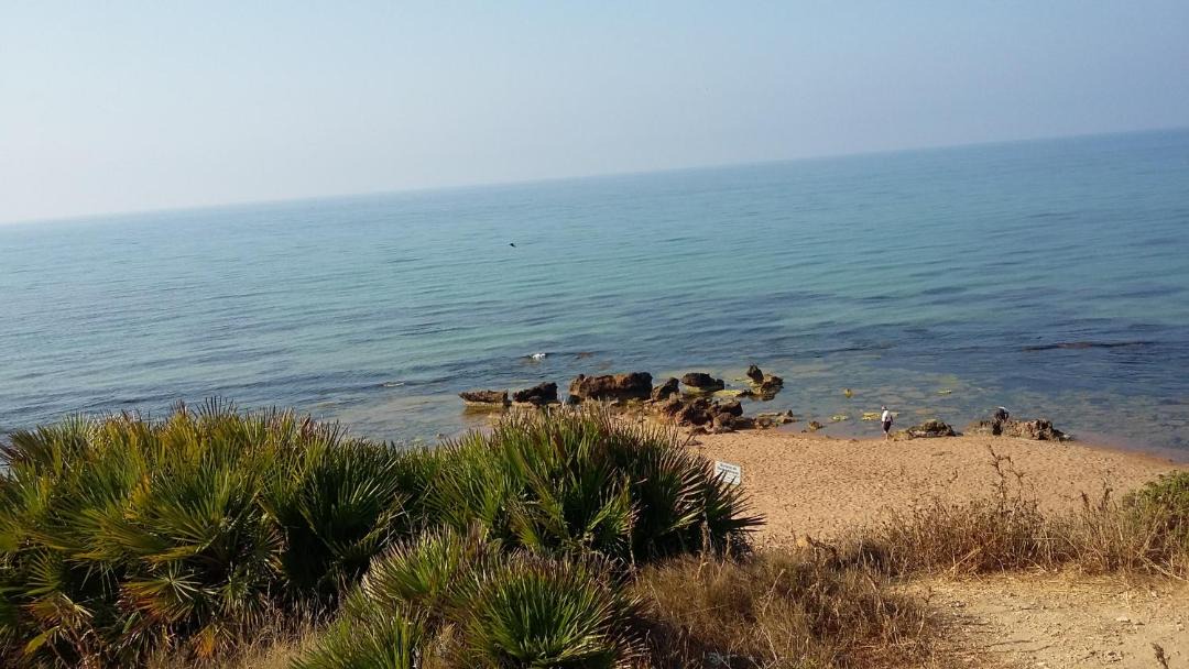 Photo of Others in Marinella di Selinunte