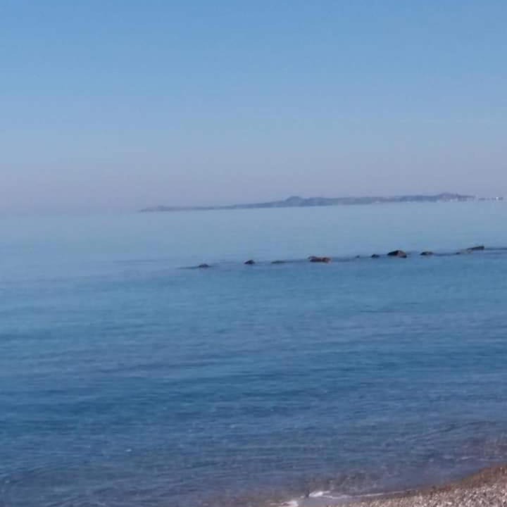 Photo of Others in Falcone