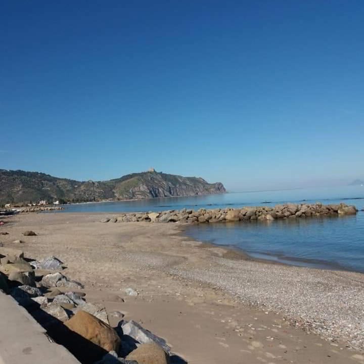Photo of Others in Falcone