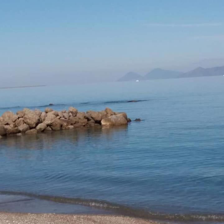 Photo of Others in Falcone