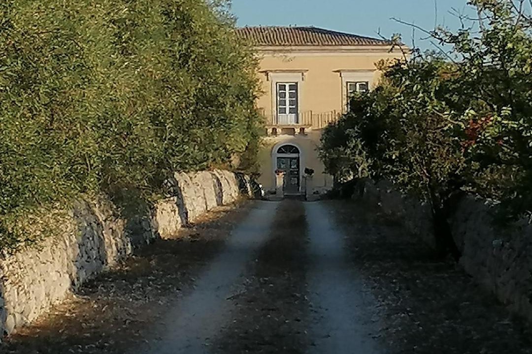 Photo of Others in Casa Papa