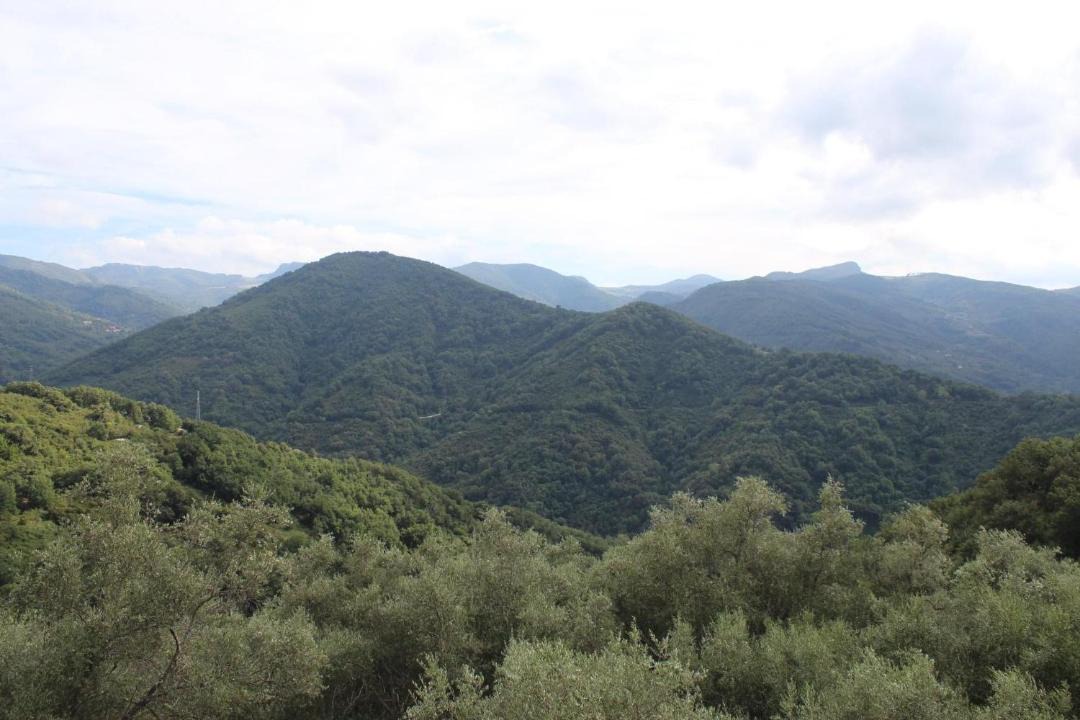 Photo of Outdoor in Raccuja