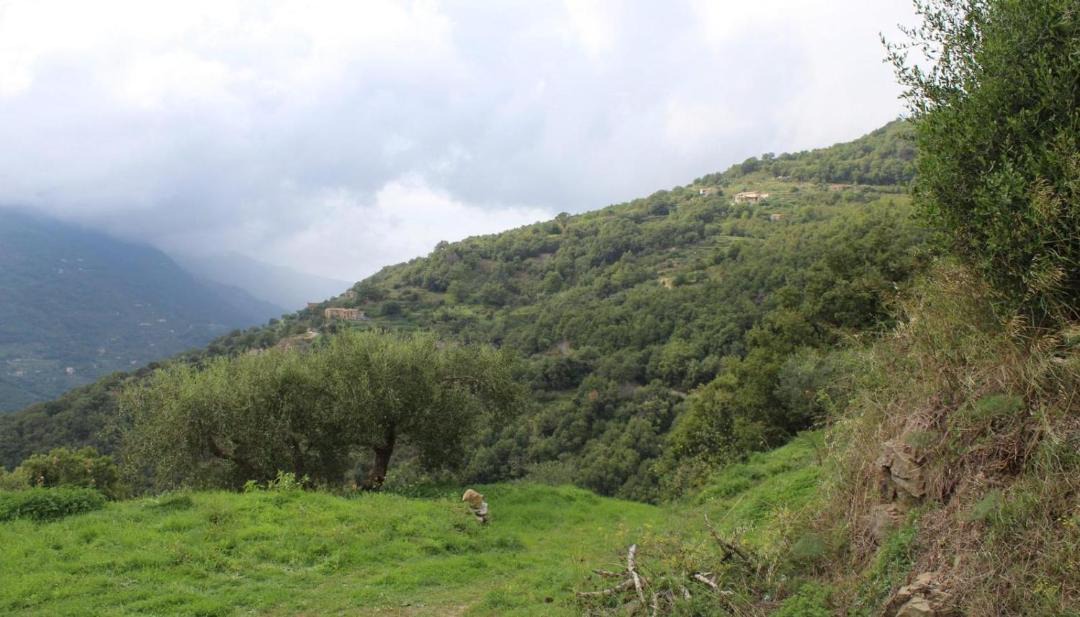 Photo of Outdoor in Raccuja