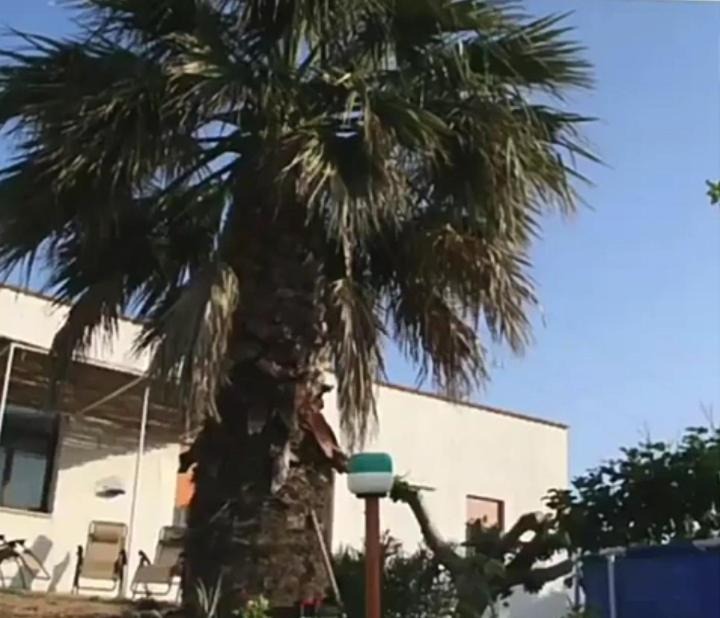 Photo of Buildings in Alcamo