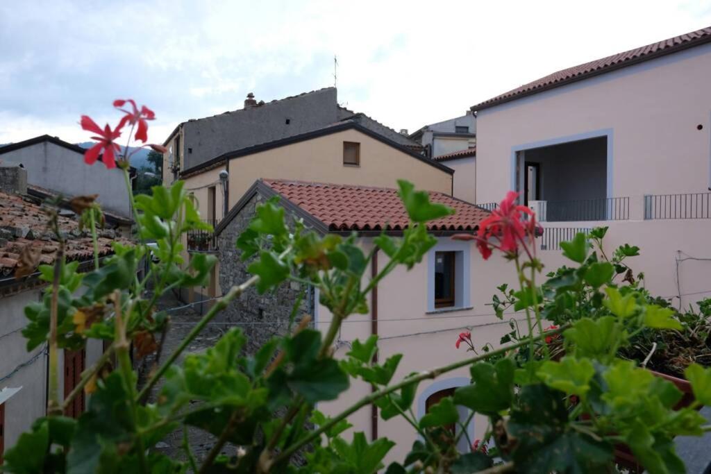 Photo of Others in San Paolo Albanese