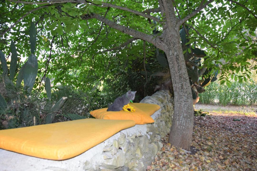 Photo of Others in Campanella-Gianforma