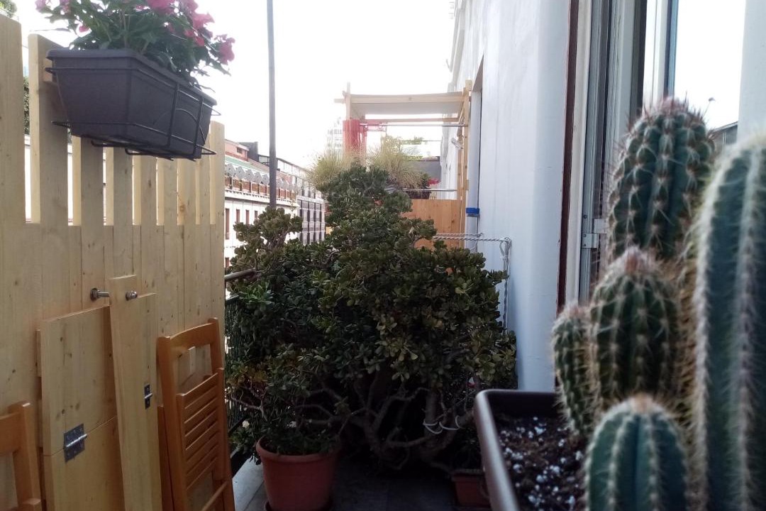 Photo of Others in Ruggero Settimo