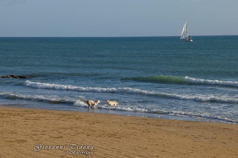 Photo of Others in Marina di Ragusa