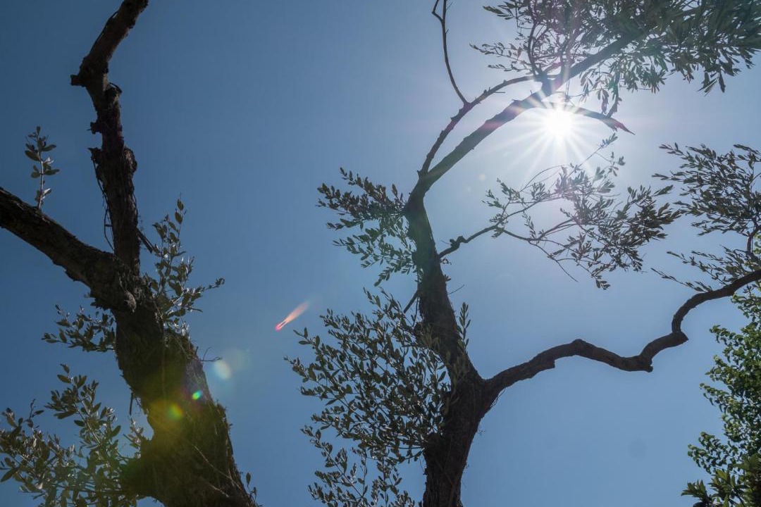 Photo of Outdoor in Castroreale Terme
