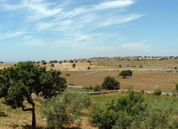 Photo of Others in Ragusa