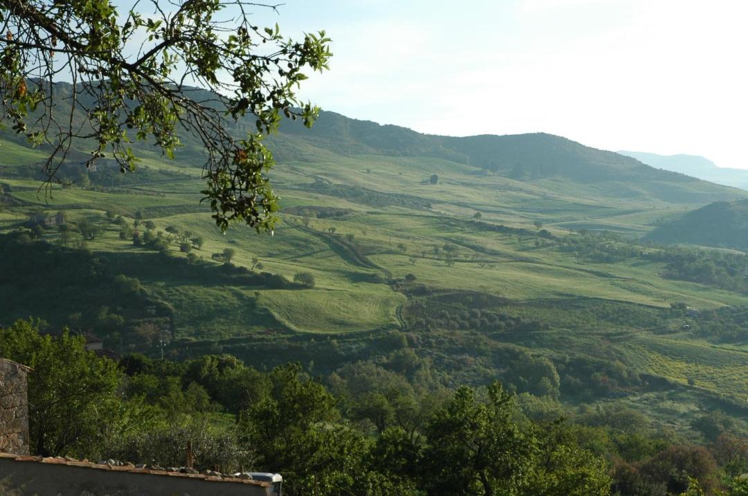 Photo of Others in Petralia Soprana