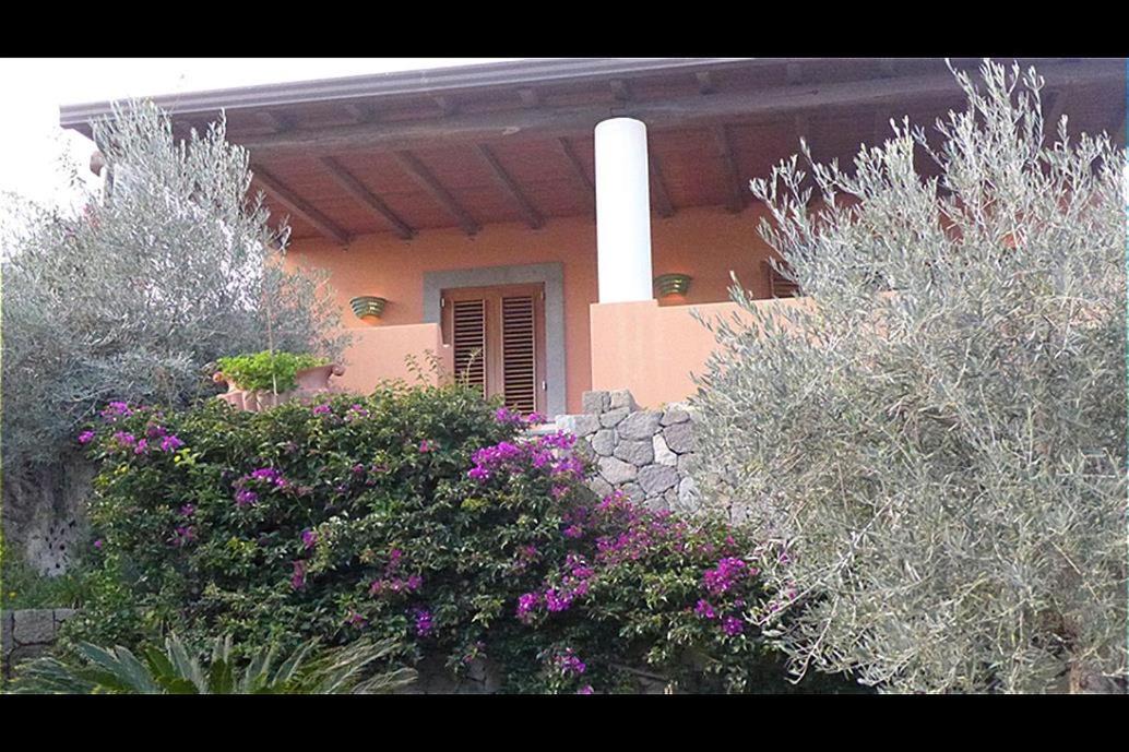 Photo of Others in Lipari