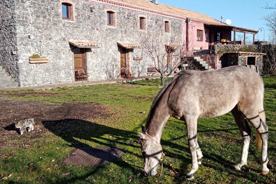Photo of Others in Mascali