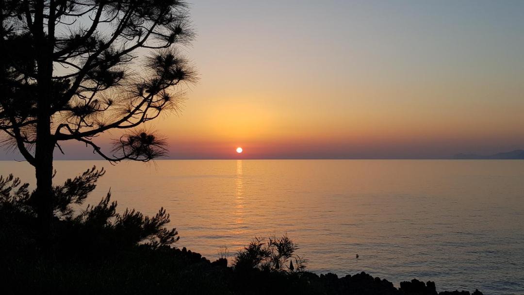 Photo of Others in Zarbo di Mare