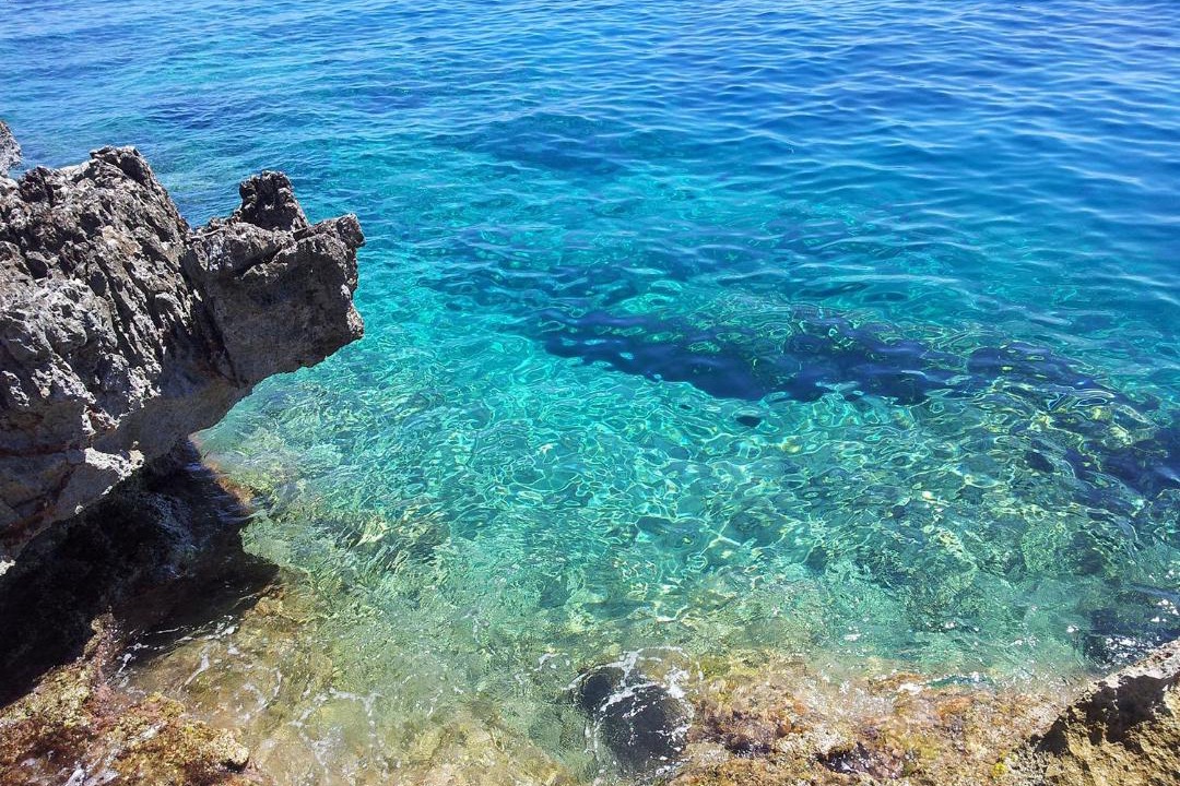 Photo of Others in Zarbo di Mare