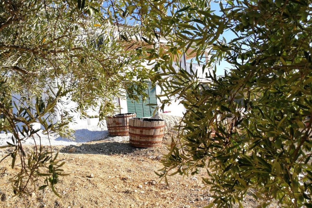 Photo of Others in Montallegro