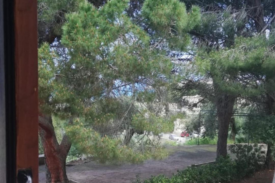Photo of Others in Cefalu