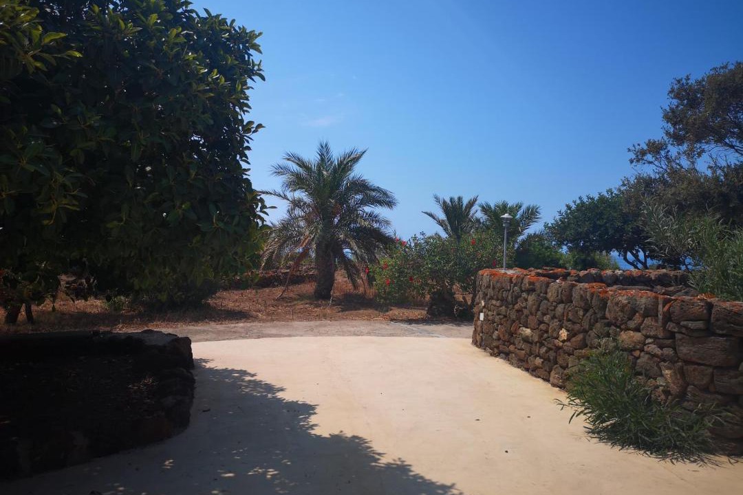 Photo of Others in Pantelleria
