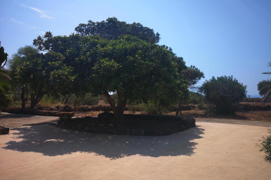 Photo of Others in Pantelleria